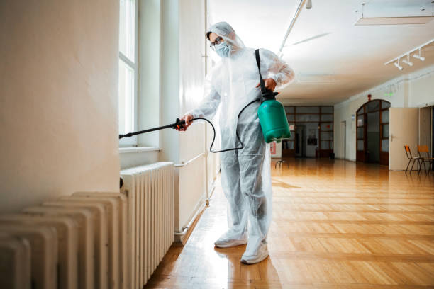 Best Termite Control Services  in Atlantis, FL